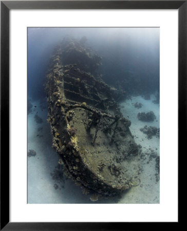 Tug Tien Sing, Red Sea by Mark Webster Pricing Limited Edition Print image