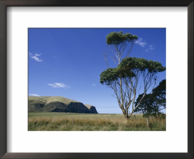 Hickory Bay, Banks Peninsula, Canterbury, South Island, New Zealand by Ken Gillham Pricing Limited Edition Print image