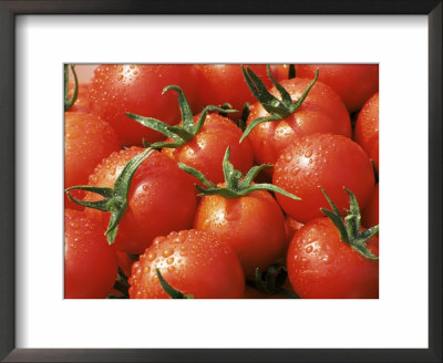 Close-Up Of Tomatoes, England, United Kingdom by Roy Rainford Pricing Limited Edition Print image