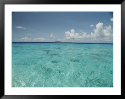 Bikini Atoll Healed From Nuclear Testing And Is Now Teeming With Life, Notably The Gray Reef Shark by Bill Curtsinger Pricing Limited Edition Print image