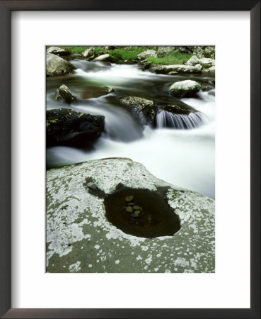 Pool And Lichen-Covered Boulder, Gt Smoky Mtns National Park, Tn by Willard Clay Pricing Limited Edition Print image