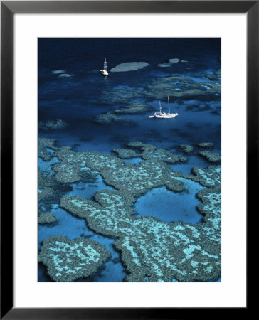 Great Barrier Reef, Queensland, Australia by Danielle Gali Pricing Limited Edition Print image