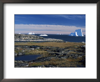 Shore Platform With Autumn Tundra, Qeqertarsuaq (Godhavn), Disko Bay, Island, West Coast, Greenland by Tony Waltham Pricing Limited Edition Print image