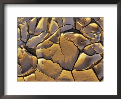 Mud Cracks, Death Valley National Park, California, Usa by Chuck Haney Pricing Limited Edition Print image