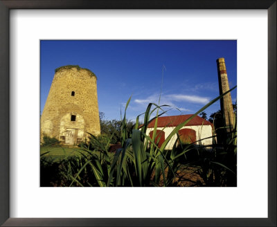St. Nicholas Abbey Sugar Mill, St. Peter Parish, Barbados, Caribbean by Greg Johnston Pricing Limited Edition Print image