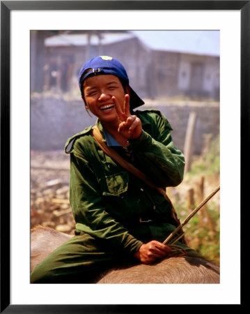 Portrait Of Woman Riding Water Buffalo, Hsipaw, Myanmar (Burma) by Frank Carter Pricing Limited Edition Print image