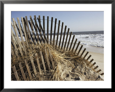 A Sand Fence Used To Control Dune Erosion by Stephen St. John Pricing Limited Edition Print image