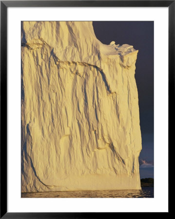 Navy by Bill Curtsinger Pricing Limited Edition Print image