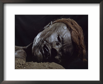 Head Of Grauballe Man, Iron Age Bog Mummy, Aarhus, Denmark, Scandinavia by Christina Gascoigne Pricing Limited Edition Print image