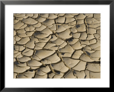 Cracked Mud Formation In The Valley Floor Of Death Valley National Park, California, Usa by Darrell Gulin Pricing Limited Edition Print image