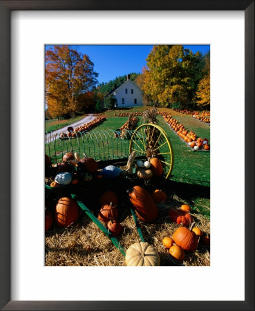 Pumpkin Patch Store, Pownal, Vermont by John Elk Iii Pricing Limited Edition Print image
