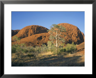 Unusual Weathered Rock Formation, The Olgas, Northern Territory, Australia by Ken Wilson Pricing Limited Edition Print image