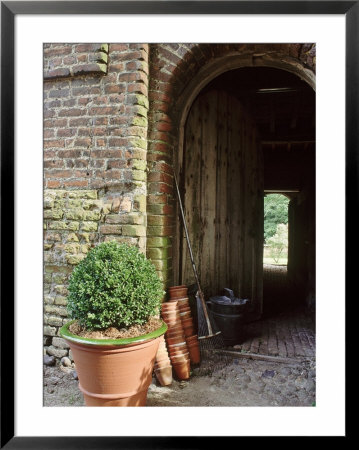 View Through Barn Doorway Buxus In Container Small Pots, Rake by Sunniva Harte Pricing Limited Edition Print image