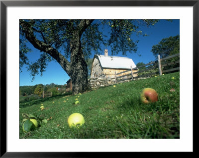 Barn In Windham, Vt by Mark Hunt Pricing Limited Edition Print image