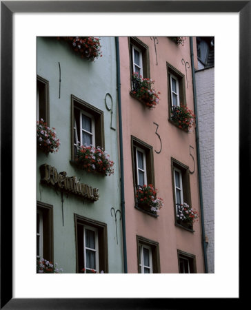 The Fish Market In The Old Town, Cologne, North Rhine Westphalia, Germany by Yadid Levy Pricing Limited Edition Print image