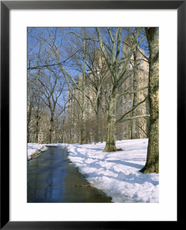 Bare Trees And Snow In Winter In Central Park, Manhattan, New York City, Usa by David Lomax Pricing Limited Edition Print image