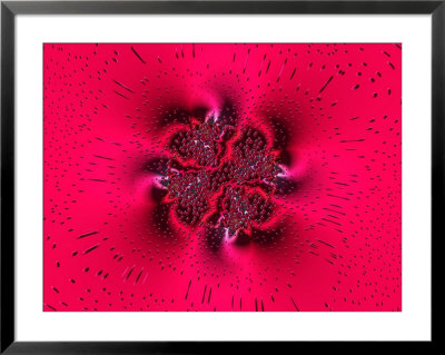 Pink Abstract Pattern by Albert Klein Pricing Limited Edition Print image