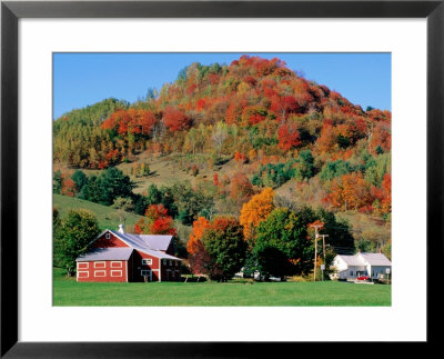 Farm Surrounded By Autumn Foliage, Near St. Johnsbury, St. Johnsbury, Vermont by John Elk Iii Pricing Limited Edition Print image