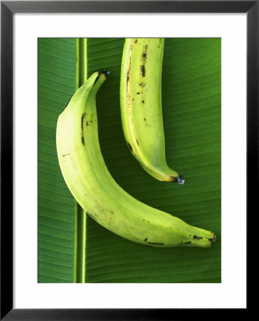Two Plantains On A Banana Leaf by Armin Zogbaum Pricing Limited Edition Print image