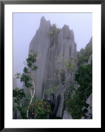 The Pinnacles Limestone Fores, From The Lookout On Gunung Api, Gunung Mulu Np, Sarawak, Malaysia by Mark Daffey Pricing Limited Edition Print image
