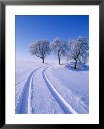 Landscape In Winter by Hans Peter Merten Pricing Limited Edition Print image