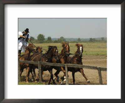 Hungarian Cowboy Horse Show, Bugaci Town, Kiskunsagi National Park, Hungary by Christian Kober Pricing Limited Edition Print image