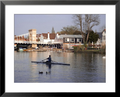 Man Rowing On River Thames Near Rowing Club, Marlow Suspension Bridge In Back, Marlow, England by David Hughes Pricing Limited Edition Print image