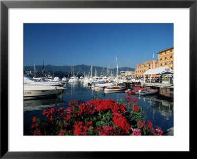 View Across The Harbour, Santa Margherita Ligure, Portofino Peninsula, Liguria, Italy by Ruth Tomlinson Pricing Limited Edition Print image