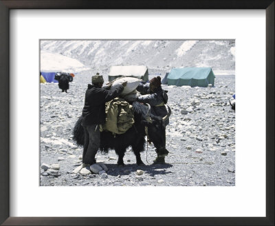 A Yak'sdays Work, Nepal by Michael Brown Pricing Limited Edition Print image