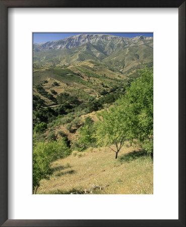 Landscape Near Frigliana, Malaga, Andalucia, Spain by Michael Busselle Pricing Limited Edition Print image