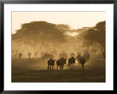 Wildebeest Migration, Tanzania by Charles Sleicher Pricing Limited Edition Print image