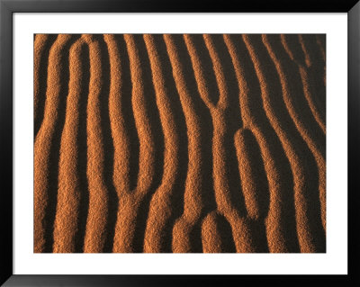 Patterns In Desert Sand, Merzouga And The Dunes, Morocco by Frances Linzee Gordon Pricing Limited Edition Print image