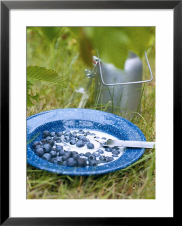 Buttermilk With Blueberries In The Open Air by Jorn Rynio Pricing Limited Edition Print image