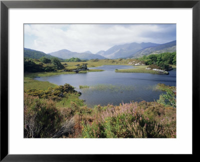 Upper Lake And Macgillycuddy's Reeks, Ring Of Kerry, Killarney, Munster, Republic Of Ireland (Eire) by Roy Rainford Pricing Limited Edition Print image