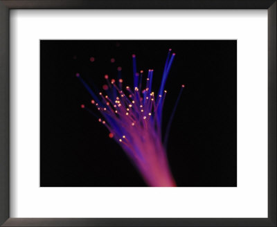Close-Up Of Fiber Optic Cable by Tim Lynch Pricing Limited Edition Print image