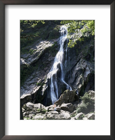 Powerscourt Waterfall, County Wicklow, Leinster, Eire (Republic Of Ireland) by Philip Craven Pricing Limited Edition Print image