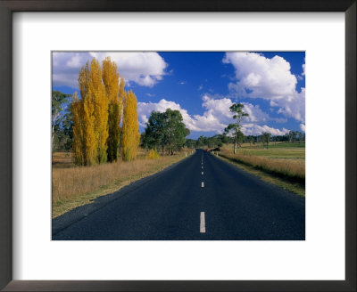 Back Road Between Uralla And Walcha New England National Park, New South Wales, Australia by Barnett Ross Pricing Limited Edition Print image