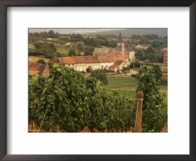 Maconnais Vineyards, Poilly Fuisse, Ozenay, Near Macon, Saone-Et-Loire, Burgundy, France by David Hughes Pricing Limited Edition Print image