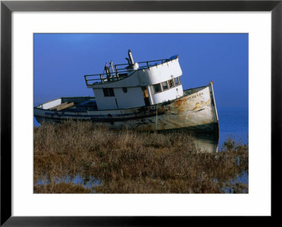 Wreck Of The Point Reyes In Tomales Bay, California by John Elk Iii Pricing Limited Edition Print image