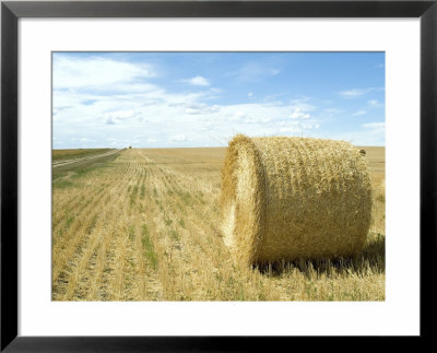 Haystacks, North Dakota, Usa by Ethel Davies Pricing Limited Edition Print image
