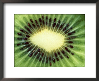 Actinidea Chinensis Kiwi Fruit Cross-Section by Vaughan Fleming Pricing Limited Edition Print image