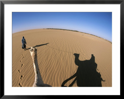 A Tuareg Tribesman Leads His Camel Through The Dunes Of The Sahara by Peter Carsten Pricing Limited Edition Print image
