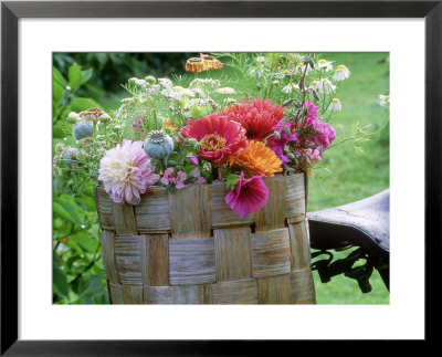 Dahlia, Papaver, Malva, Zinnia And Calendula, Collection Of Picked Flowers In A Woven Basket by Michael Davis Pricing Limited Edition Print image