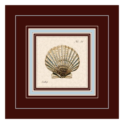 Scallop by Cynthia Rodgers Pricing Limited Edition Print image