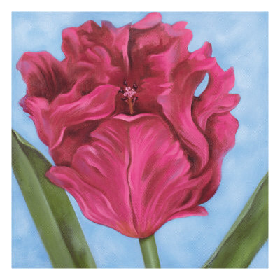 Raspberry Tulip Ii by Sophia Davidson Pricing Limited Edition Print image