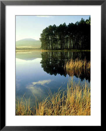 Loch Garten, Strathspey, Scotland by Iain Sarjeant Pricing Limited Edition Print image