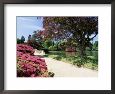 Path On Bank Of Ten Foot Pond, Sheffield Park Garden, East Sussex, England, United Kingdom by Ruth Tomlinson Pricing Limited Edition Print image
