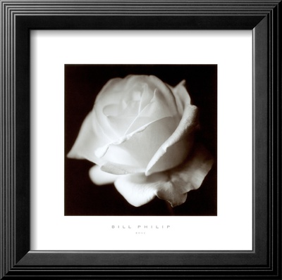 Rose by Bill Philip Pricing Limited Edition Print image