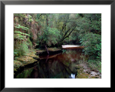 Oparara River, Oparara Basin, New Zealand by William Sutton Pricing Limited Edition Print image