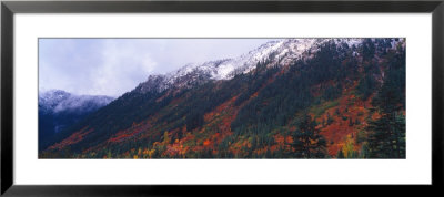 Snow Covered Autumn Colors Of Stevens Pass, Mt. Baker National Forest, Washington, Usa by Terry Eggers Pricing Limited Edition Print image